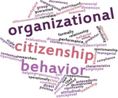 organizational citizenship behavior