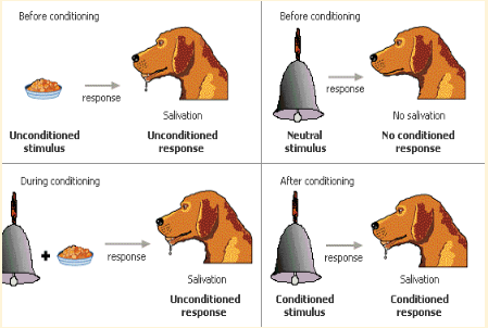 work performance -classical conditioning