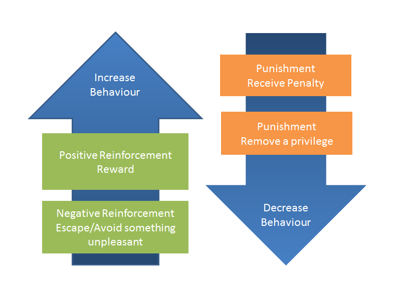 Work Performance - Behavioural Psychology - Consequences