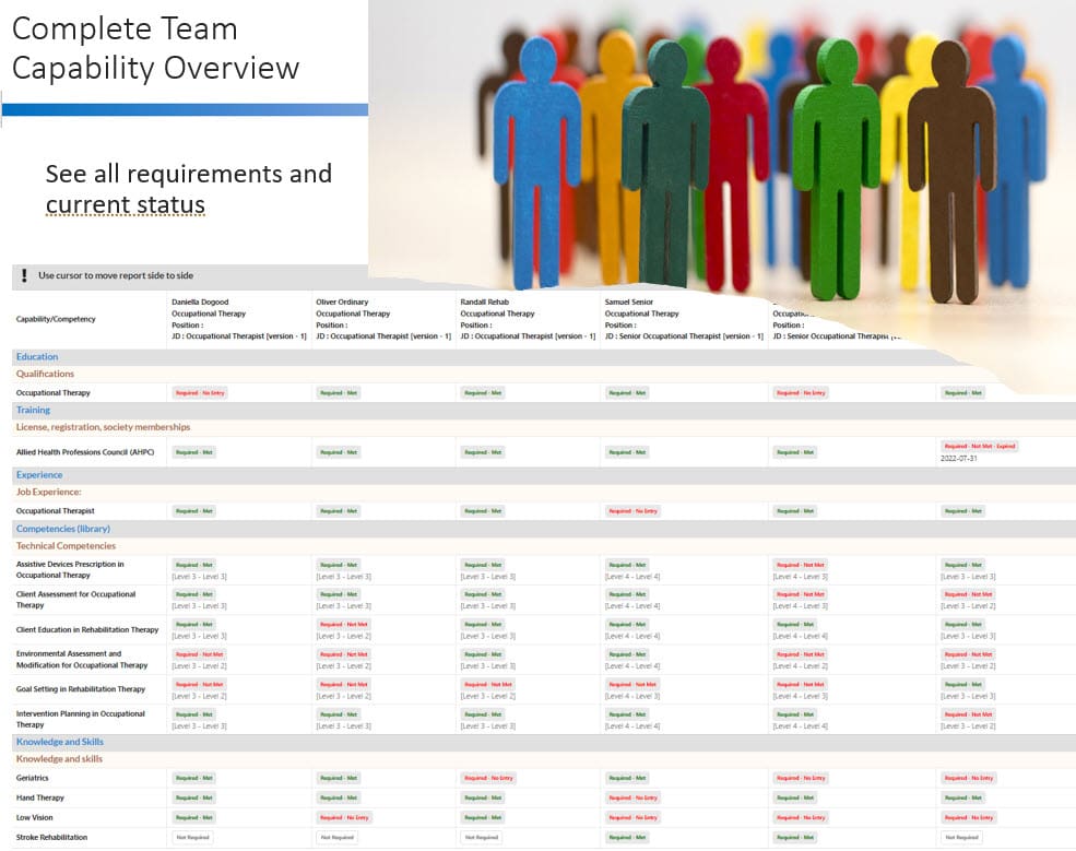 Team Capability Overview