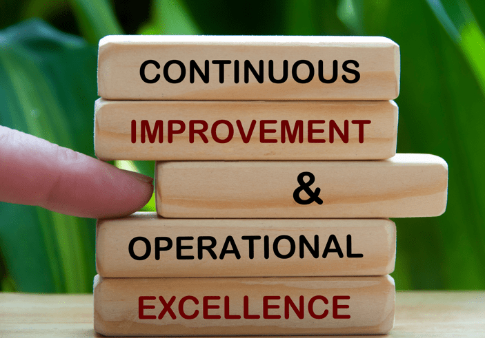 Continuous performance management system