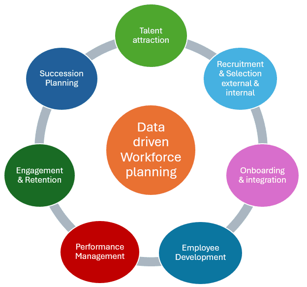 Talent Management Lifecycle